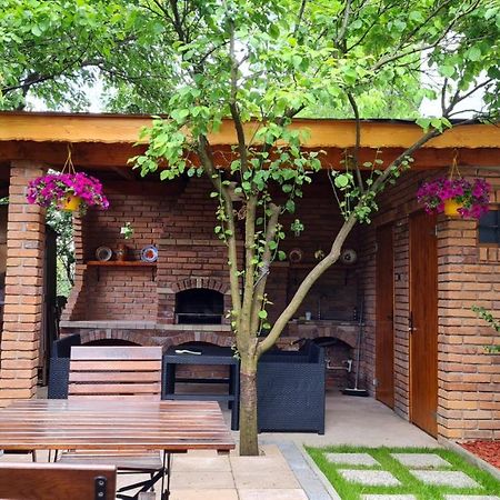 Cozy House With Nice Garden In Heart Of City Center Villa Cluj-Napoca Exterior photo