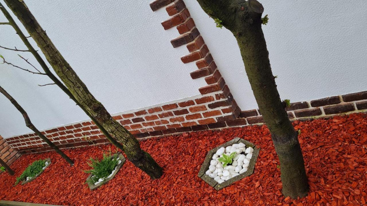Cozy House With Nice Garden In Heart Of City Center Villa Cluj-Napoca Exterior photo